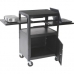 Dual Adjustable Laptop Cart